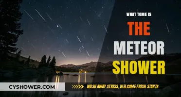 When to Watch: Meteor Shower Timings and Best Viewing Tips