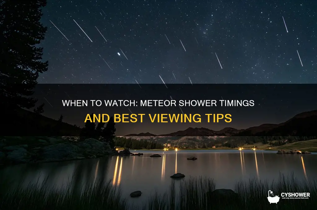 what tome is the meteor shower