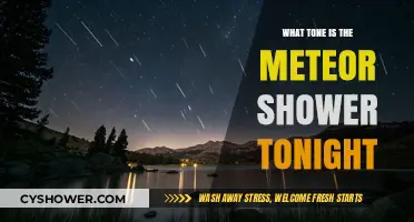 Tonight's Meteor Shower: Discover the Celestial Tone and Viewing Tips