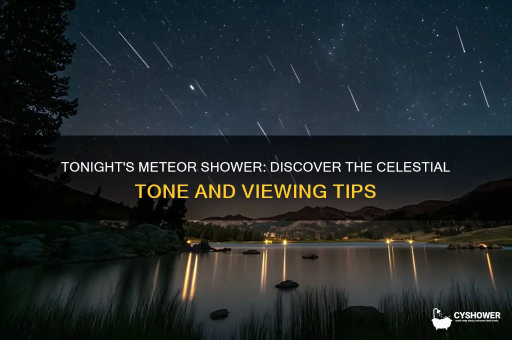 what tone is the meteor shower tonight