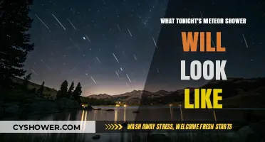 Tonight's Meteor Shower: A Celestial Spectacle to Illuminate the Night Sky