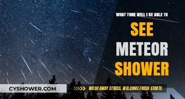 Best Tunes to Enjoy While Watching the Meteor Shower