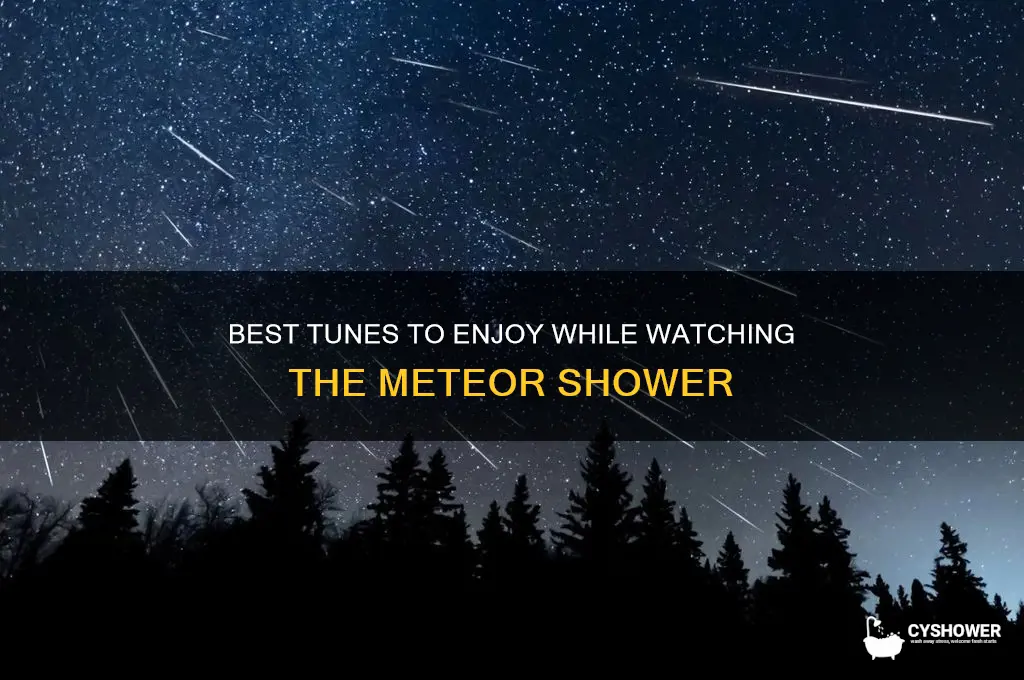 what tune will i be able to see meteor shower