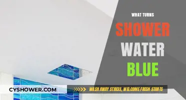 Why Does My Shower Water Turn Blue? Causes and Solutions