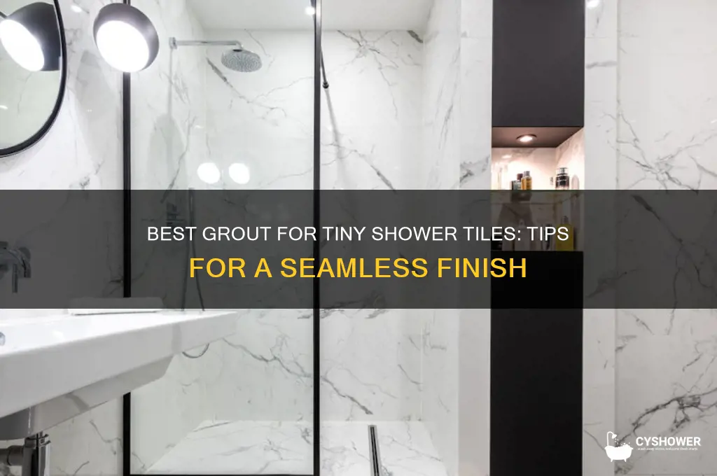 what type of grout for tiny shower tiles