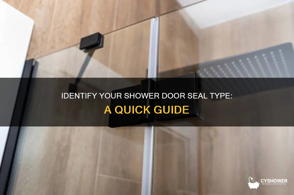what type of shower door seal do i have