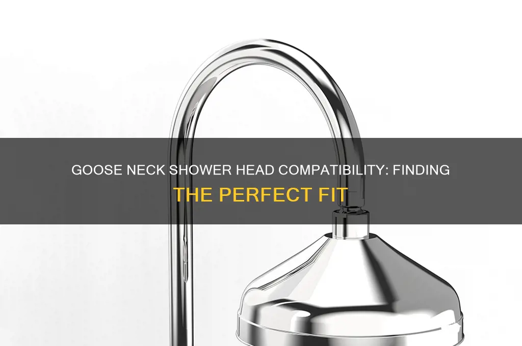 what type of shower head fits on a goose neck