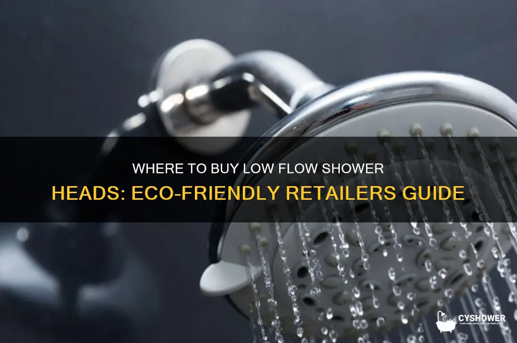 what type of stores sell low flow shower heads