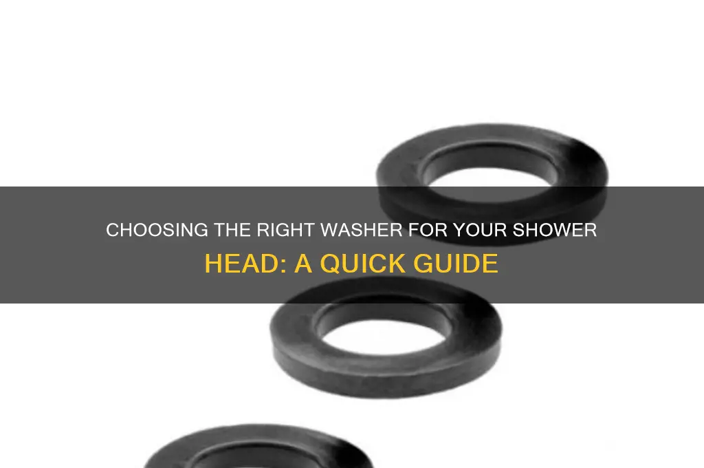 what type of washer goes in the shower head