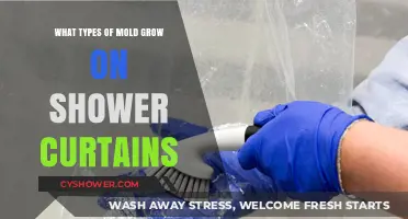 Unveiling the Mold Varieties Thriving on Your Shower Curtains