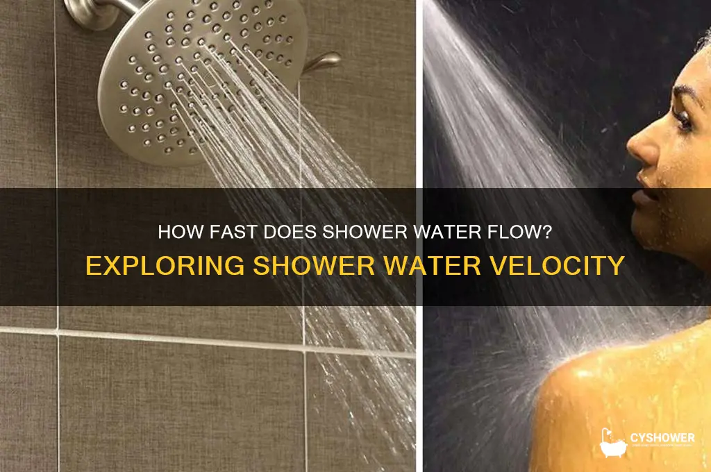 what velocity does water move out a shower