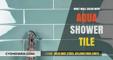 Aqua Shower Tile: Best Wall Colors to Complement Your Bathroom