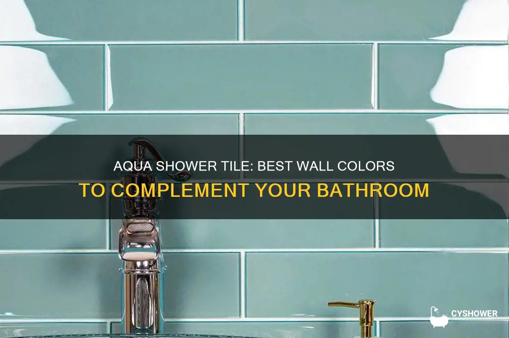 what wall color with aqua shower tile