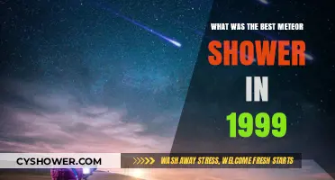 1999's Leonid Meteor Shower: The Celestial Spectacle of the Century