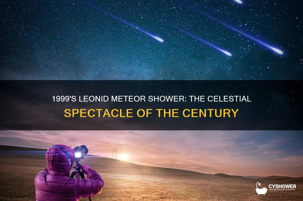 what was the best meteor shower in 1999