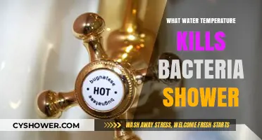 Shower Water Temperature: How Hot to Kill Bacteria Safely