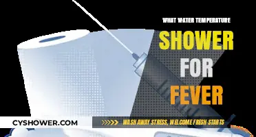 Optimal Shower Temperature for Fever Relief: Cool or Lukewarm Water?
