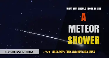 Best Viewing Tips for Spotting a Meteor Shower in the Night Sky