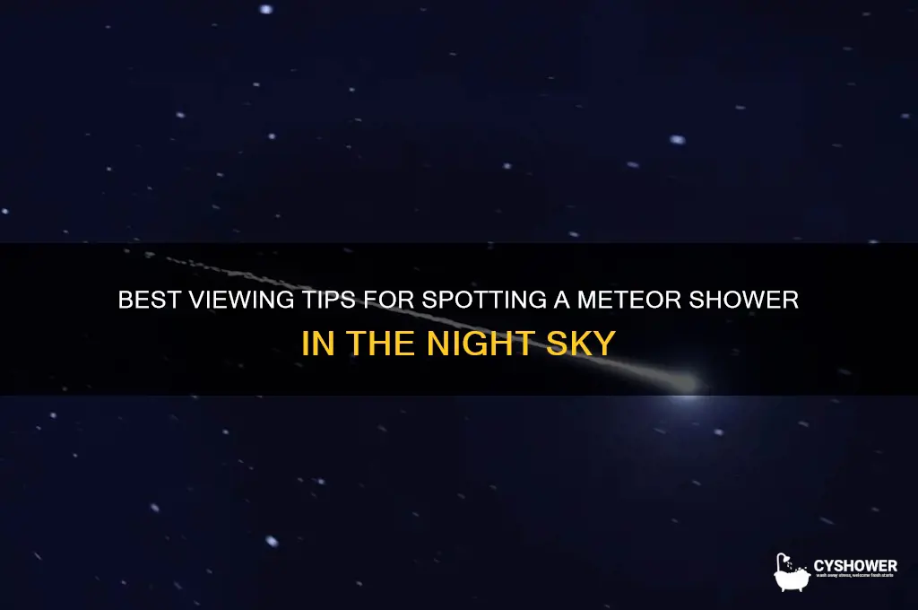 what way should i look to see a meteor shower