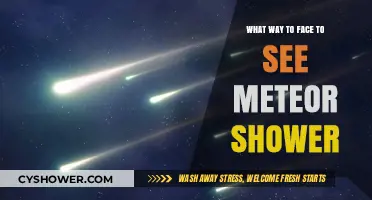 Best Direction to Face for a Stunning Meteor Shower Experience