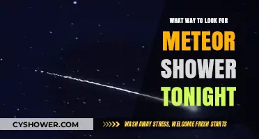 Best Tips to Spot Tonight's Meteor Shower: A Stargazer's Guide