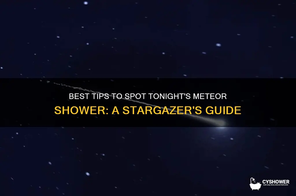 what way to look for meteor shower tonight