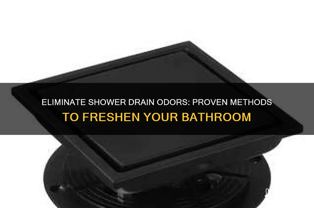 what will kill the smell of the shower drain