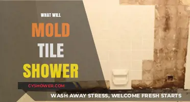 How Mold Affects Tile Showers: Causes, Risks, and Prevention Tips