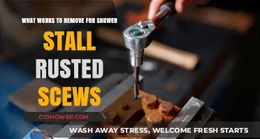 Effective Solutions for Removing Rusted Screws from Shower Stalls