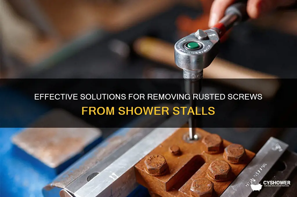what works to remove for shower stall rusted scews