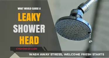 Why Your Shower Head is Leaking: Common Causes and Fixes