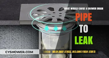 Why Is Your Shower Drain Pipe Leaking? Common Causes Explained