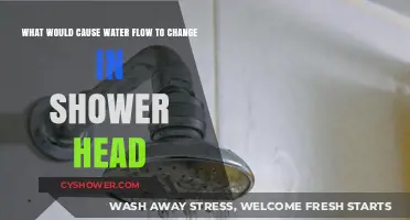 Why Your Shower Head's Water Flow Suddenly Changed: Common Causes Explained