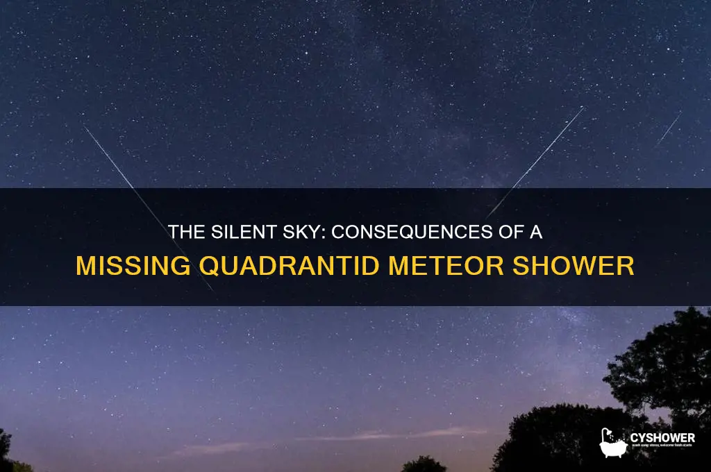 what would happen if the quadrantid meteor shower never peaked