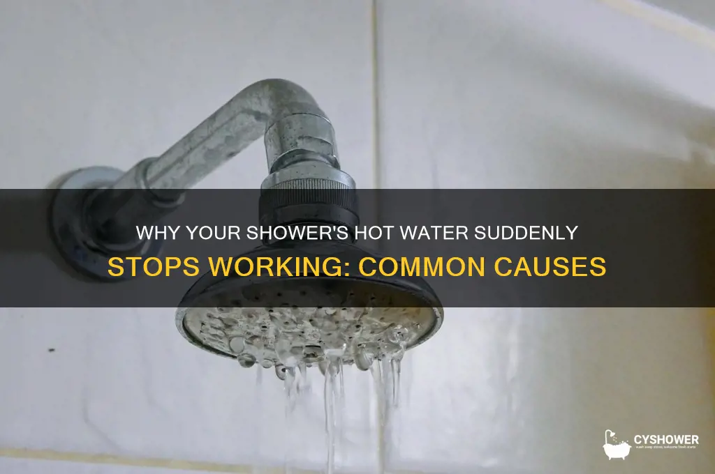 what would make hot water not work in shower