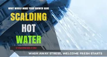 Why Your Shower Suddenly Blasts Scalding Hot Water: Common Causes Explained