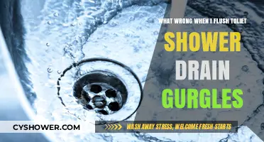 Why Does My Shower Drain Gurgle When I Flush the Toilet?