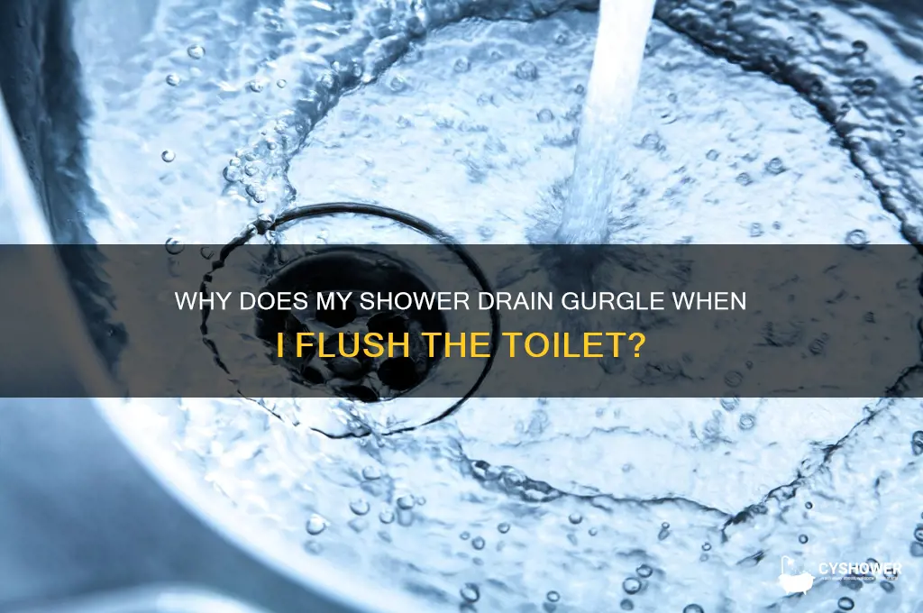 what wrong when i flush toliet shower drain gurgles