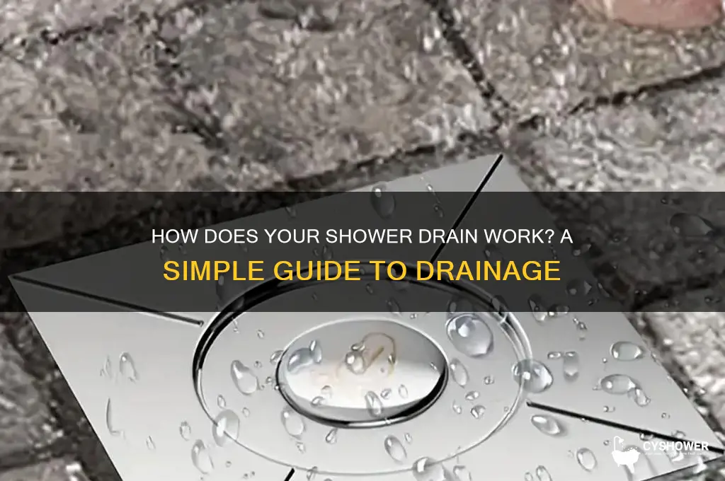 what wsy does shower drain