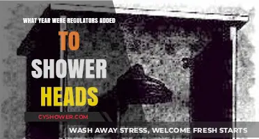 When Did Shower Heads Get Regulated: A Historical Overview