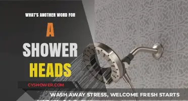 Alternative Names for Shower Heads: Exploring Creative Bathroom Fixture Terms