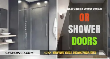 Shower Curtain vs. Shower Doors: Which Bathroom Option Wins?