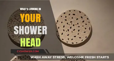 Hidden Dangers: What's Lurking in Your Shower Head?