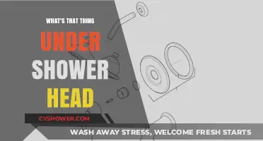 Unveiling the Mystery: What's That Thing Under Your Shower Head?