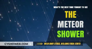 Best Time Tonight to Catch the Meteor Shower: A Stargazer's Guide