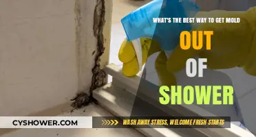 Effective Mold Removal: Top Tips for a Clean Shower