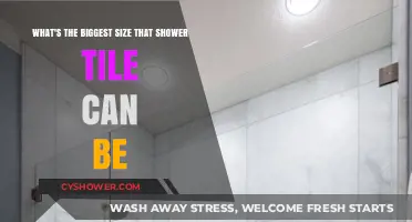 Maximize Your Shower Space: Exploring the Largest Tile Size Options