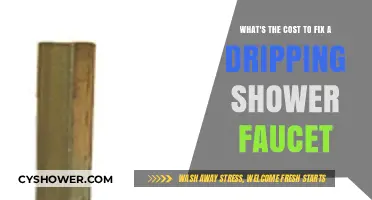 How Much Does It Cost to Repair a Leaky Shower Faucet?