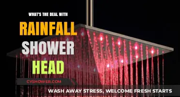 Rainfall Shower Heads: Luxury, Functionality, or Just a Trend?