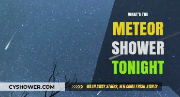 Tonight's Meteor Shower: A Celestial Spectacle to Watch for Wonders